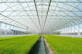 Custom Accessories Solutions